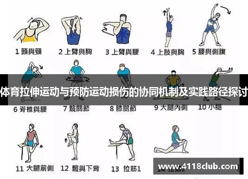 体育拉伸运动与预防运动损伤的协同机制及实践路径探讨